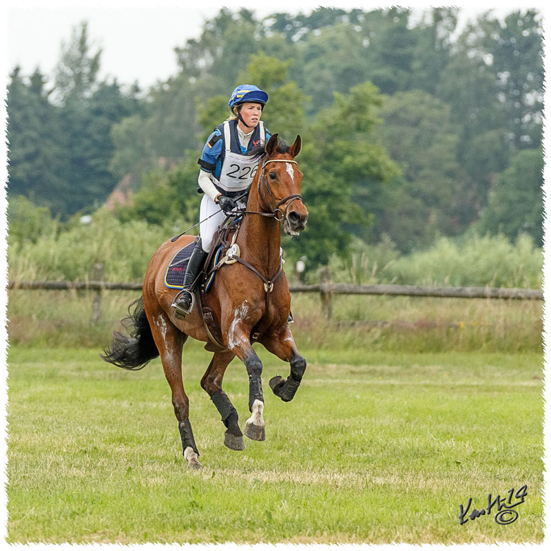 1406-3c-2651-Nisse-CC