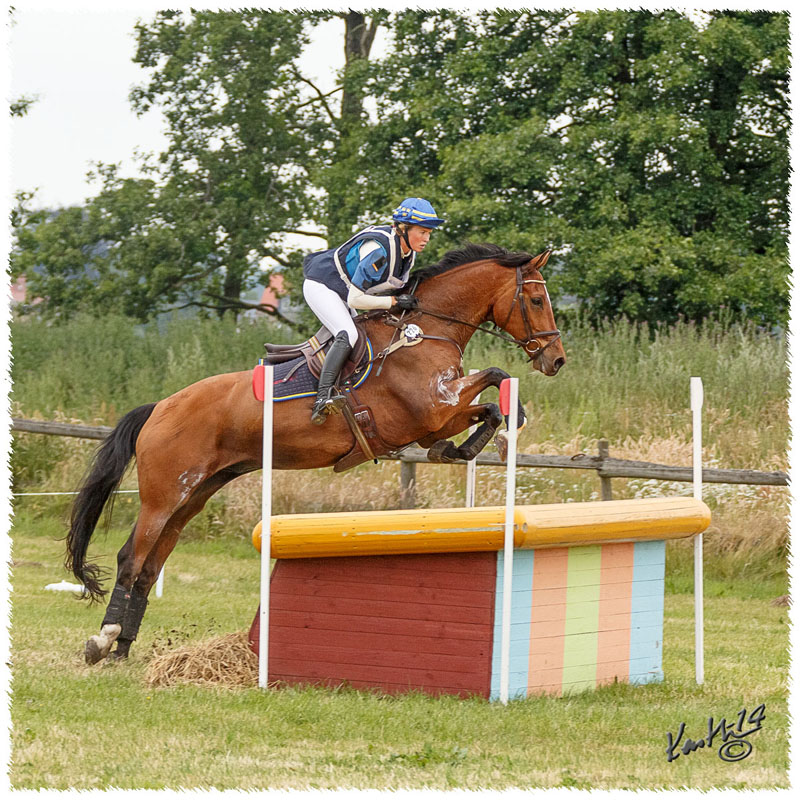 1406-3c-2658-Nisse-CC