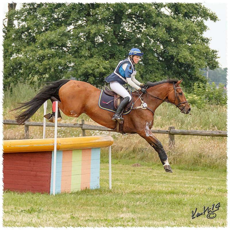 1406-3c-2660-Nisse-CC