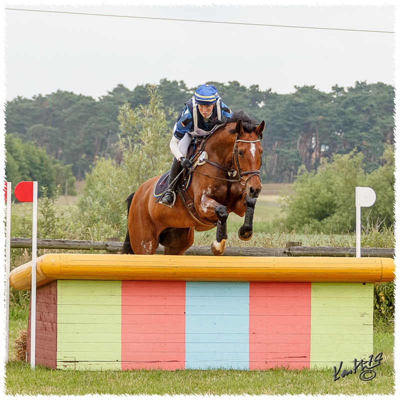 1406-3c-2664-Nisse-CC