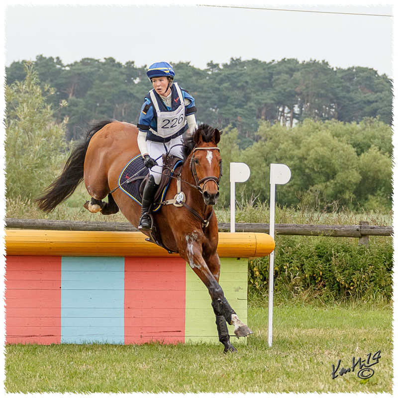1406-3c-2666-Nisse-CC