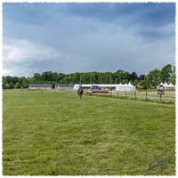 1406-00-1809-pre