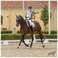 1406-2a-2056-Zorro-DR