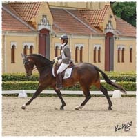 1406-2a-2097-Zorro-DR