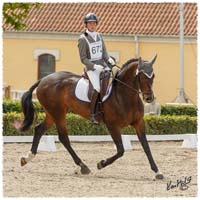 1406-2a-2169-Zorro-DR