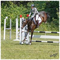 1406-2b-2191-Zorro-SJ