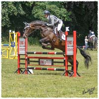 1406-2b-2194-Zorro-SJ