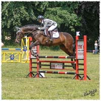 1406-2b-2195-Zorro-SJ