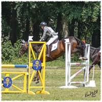 1406-2b-2212-Zorro-SJ