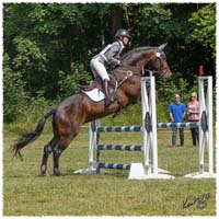 1406-2b-2228-Zorro-SJ