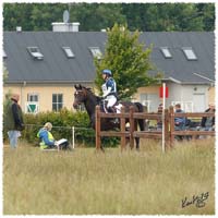 1406-2c-2440-Zorro-CC