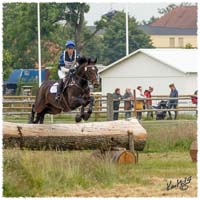 1406-2c-2451-Zorro-CC