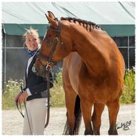 1406-3--2239-Nisse-VetCheck