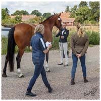1406-3--2246-Nisse-VetCheck