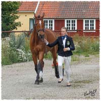 1406-3--2251-Nisse-VetCheck