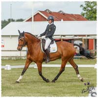 1406-3a-2309-Nisse-DR
