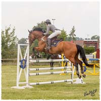 1406-3b-2614-Nisse-SJ