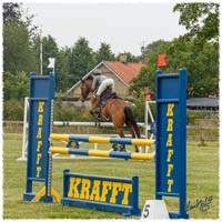 1406-3b-2618-Nisse-SJ