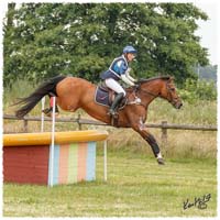 1406-3c-2660-Nisse-CC