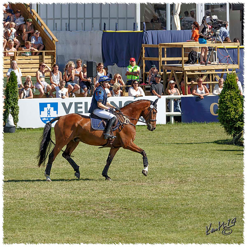 09-1407-2838-SaG-Nisse-Falsterbo