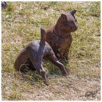 07-1407-2827-SaG-Nisse-Falsterbo