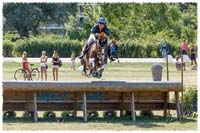1408-2c-3829-Dino-XC