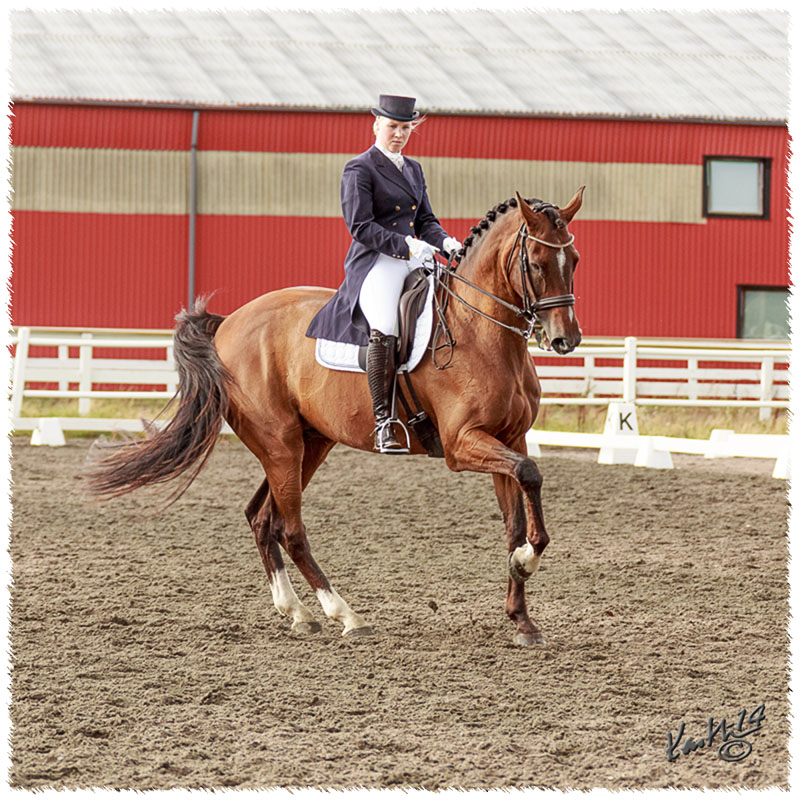 1408-4539-MaR-Lelle-FRK