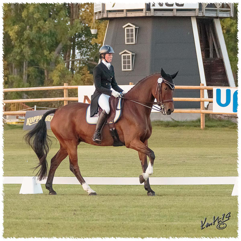12 - 1409-6918-SaG-DR-Nisse