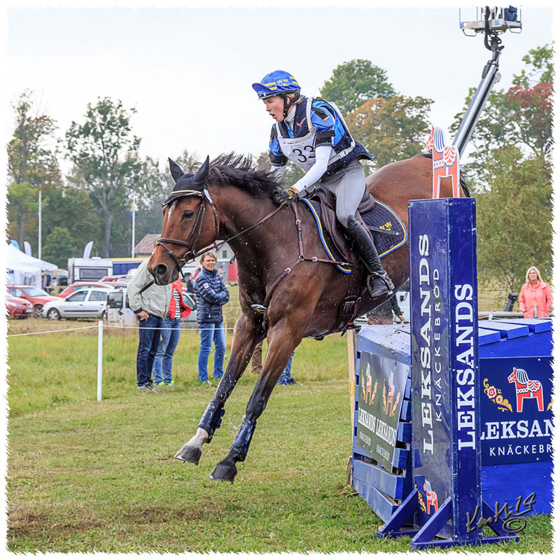 13 - 1409-7117-SaG-XC-Nisse