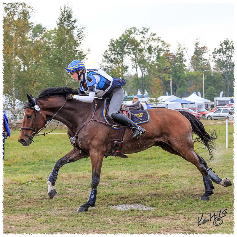 13 - 1409-7120-SaG-XC-Nisse