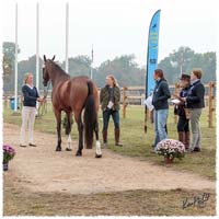 14 - 1409-7135-2nd_Vetcheck-Nisse