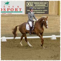 008-1503-7085-SaG-KRK-DR-Dino-MsvC