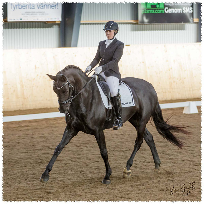1503-7462-MaR-Avve-DR-Falkoping-L_A3