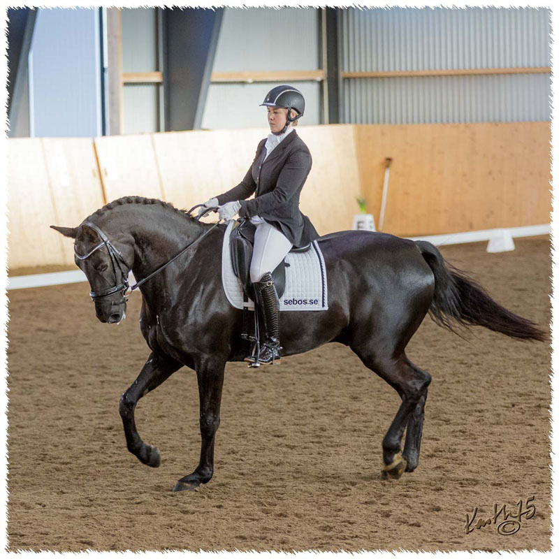 1503-7483-MaR-Avve-DR-Falkoping-L_A3