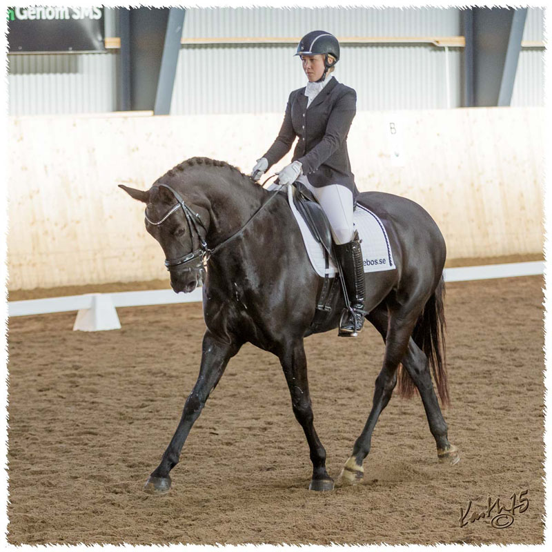 1503-7525-MaR-Avve-DR-Falkoping-L_A3