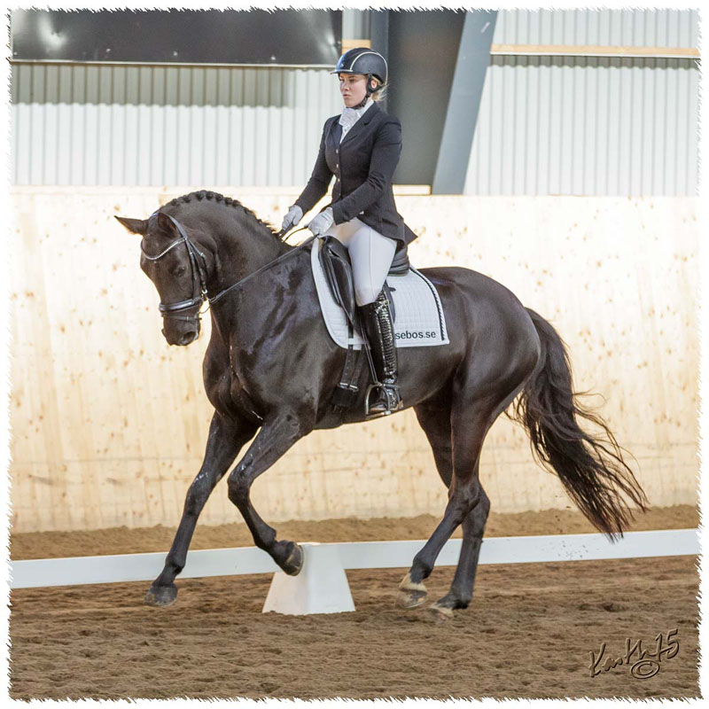 1503-7562-MaR-Avve-DR-Falkoping-L_A3