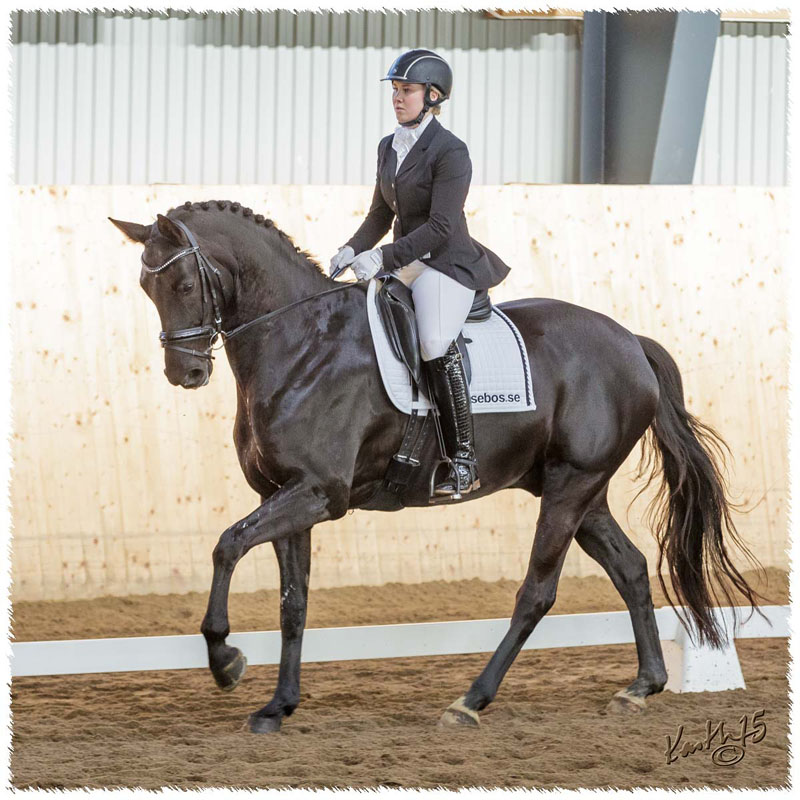 1503-7570-MaR-Avve-DR-Falkoping-L_A3