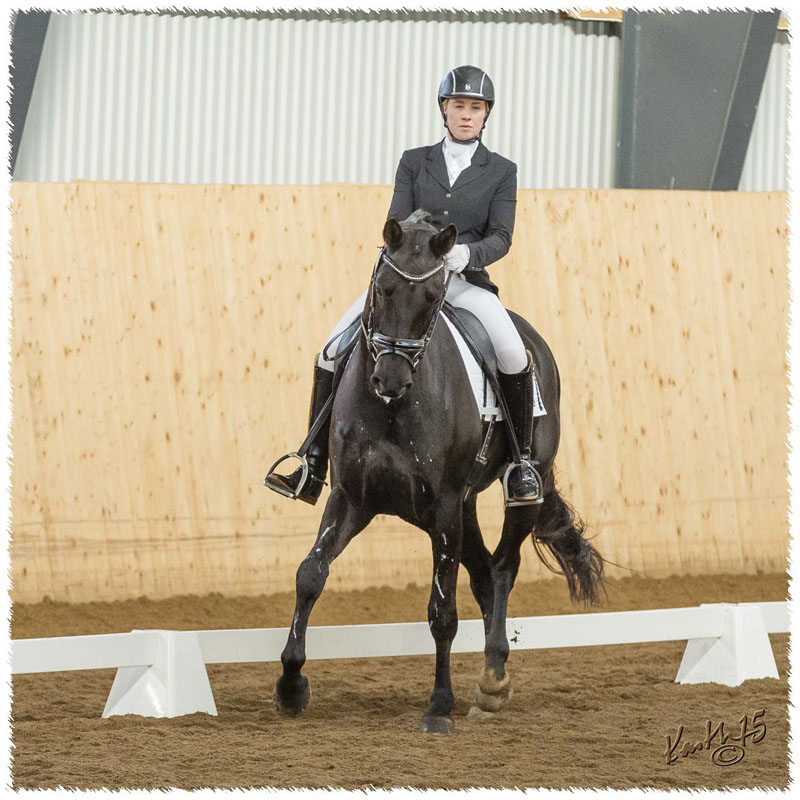 1503-7739-MaR-Avve-DR-Falkoping-Msv_C1
