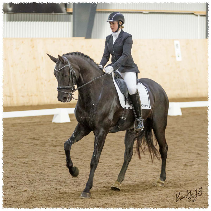 1503-7833-MaR-Avve-DR-Falkoping-Msv_C1