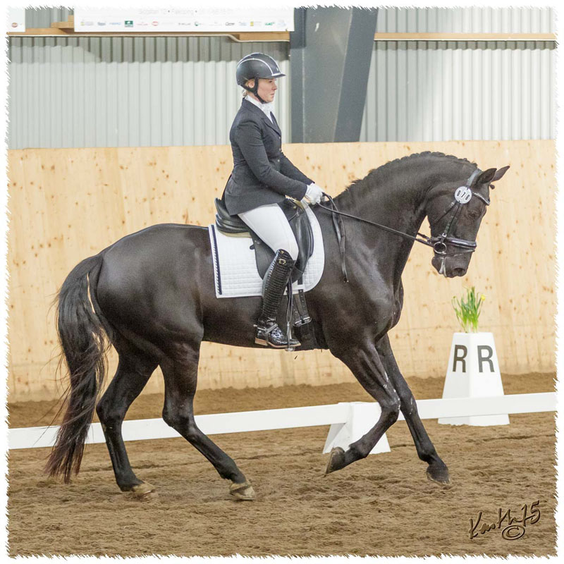 1503-7835-MaR-Avve-DR-Falkoping-Msv_C1