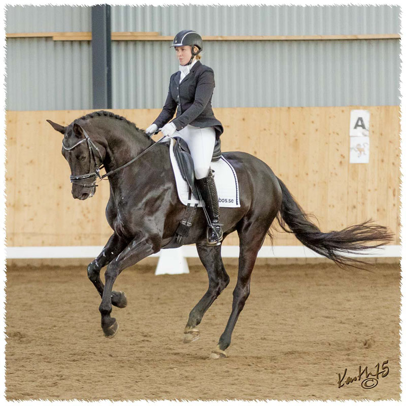 1503-7854-MaR-Avve-DR-Falkoping-Msv_C1