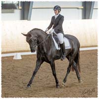 1503-7525-MaR-Avve-DR-Falkoping-L_A3