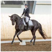 1503-7562-MaR-Avve-DR-Falkoping-L_A3