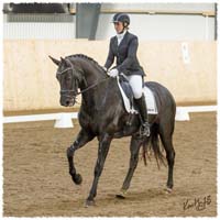 1503-7833-MaR-Avve-DR-Falkoping-Msv_C1
