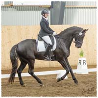 1503-7835-MaR-Avve-DR-Falkoping-Msv_C1