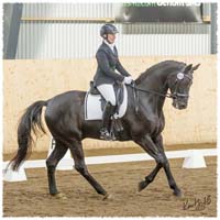 1503-7839-MaR-Avve-DR-Falkoping-Msv_C1