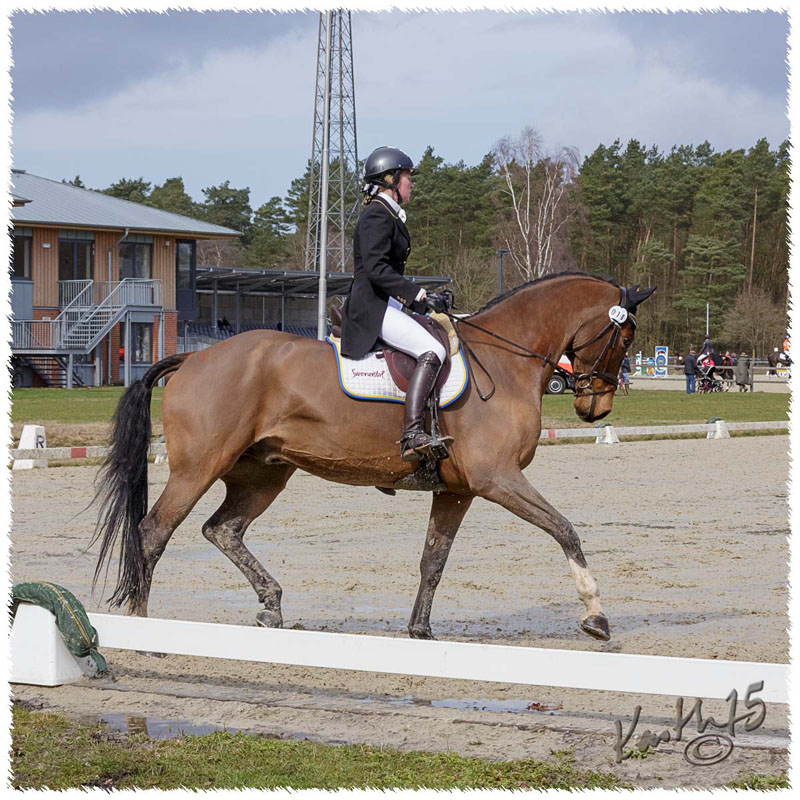 1504-8117-SaG-Luh-DR-Nisse