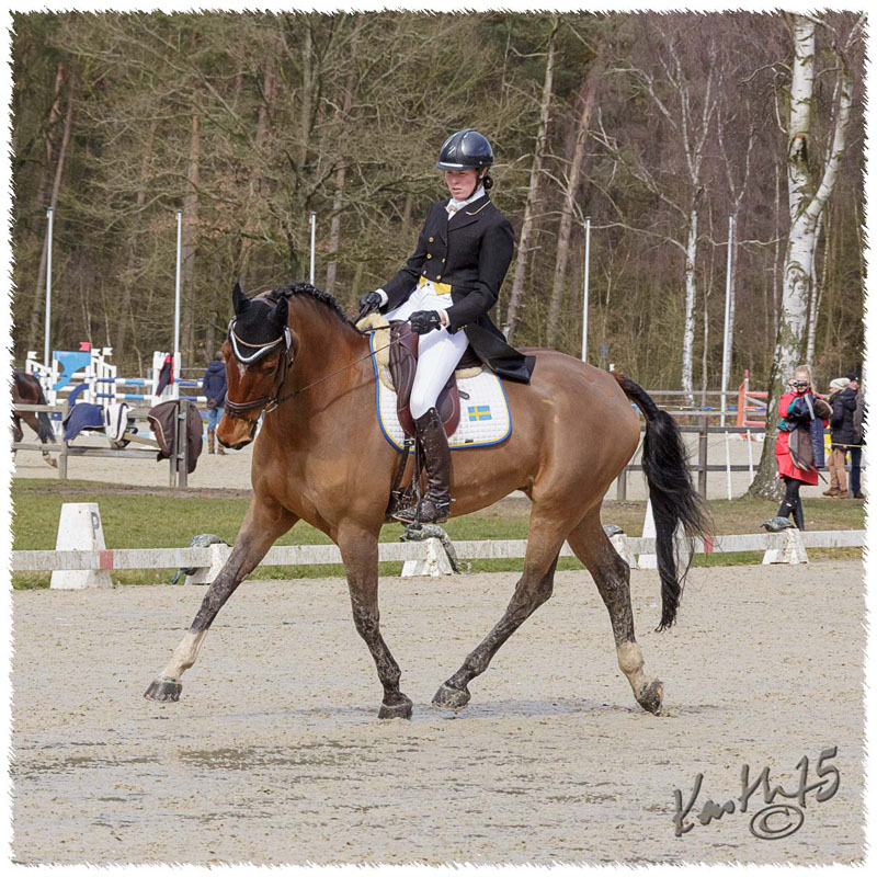 1504-8124-SaG-Luh-DR-Nisse