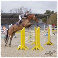 1504-8253-SaG-Luh-SJ-Nisse