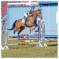 02-1504-8571-TRF-SaG-SJ-Ru